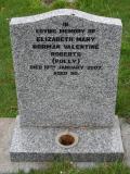 image of grave number 302567